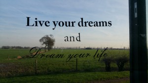 live your dreams